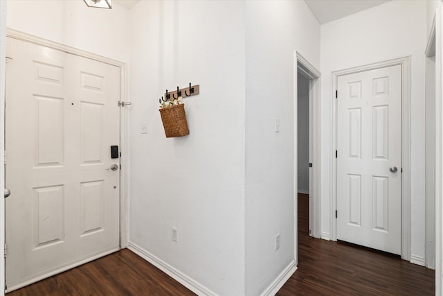 entrance foyer featuring dark wood-type flooring