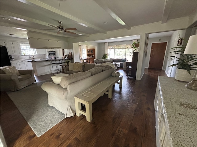 living room with dark wood-type flooring, beamed ceiling, a wealth of natural light, and ceiling fan