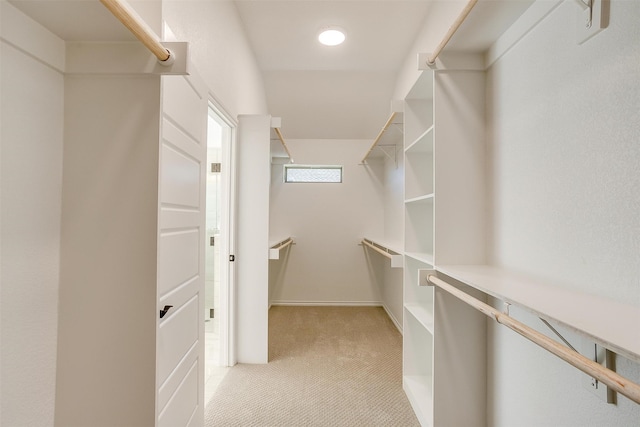 spacious closet with light carpet