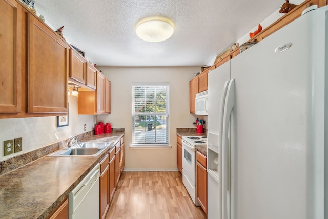 kitchen with sink, a textured ceiling, white appliances, and light wood-type flooring