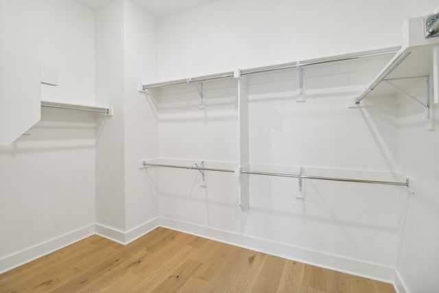 walk in closet with wood-type flooring