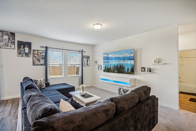 living room featuring hardwood / wood-style floors