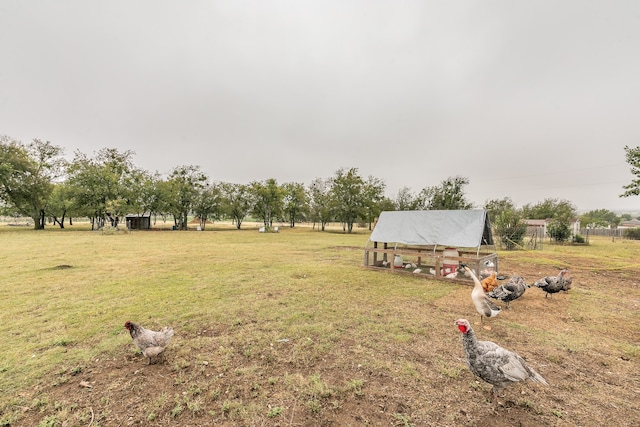 view of yard with a rural view