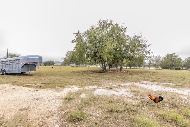 view of yard featuring a rural view