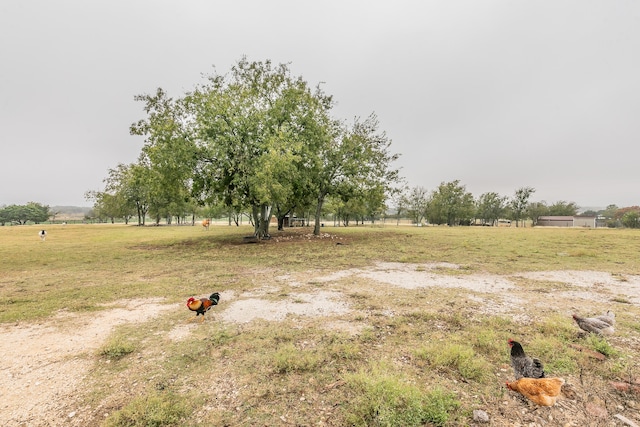 view of yard with a rural view