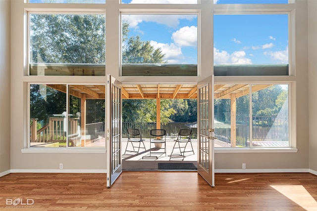 entryway with wood-type flooring and plenty of natural light