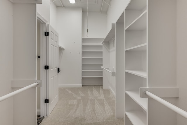 spacious closet featuring light colored carpet