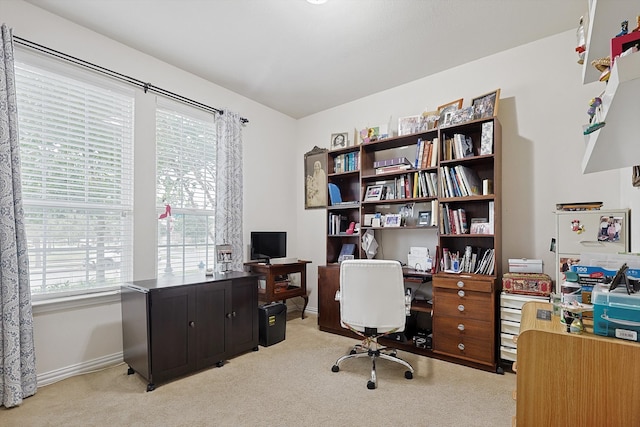 office space with light colored carpet