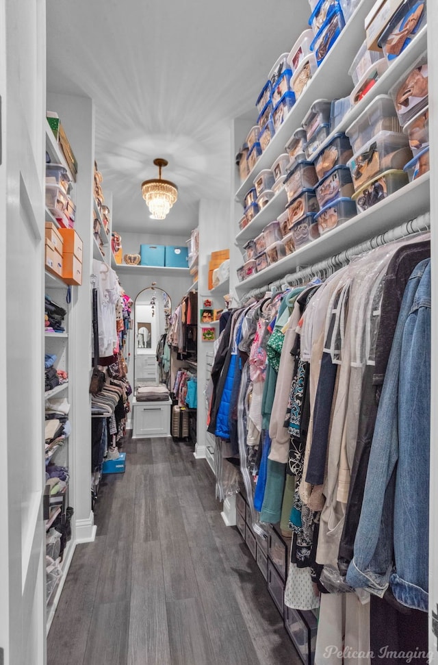 walk in closet featuring dark wood-type flooring and a notable chandelier