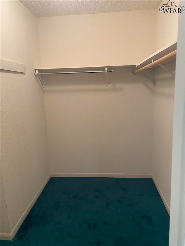 walk in closet with carpet flooring