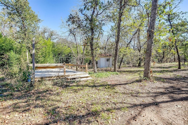 view of yard featuring a storage shed