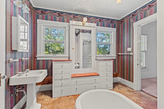 bathroom featuring a wealth of natural light, wood-type flooring, and a tub