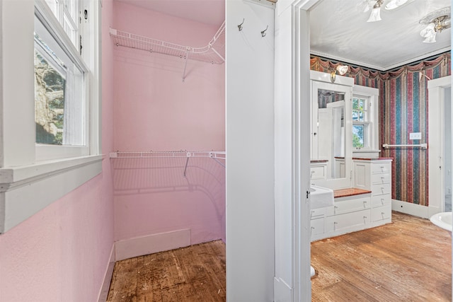 walk in closet featuring light hardwood / wood-style floors