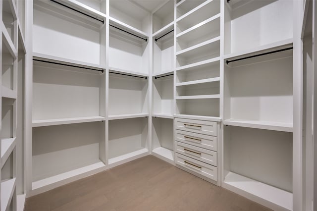 spacious closet with light wood-type flooring