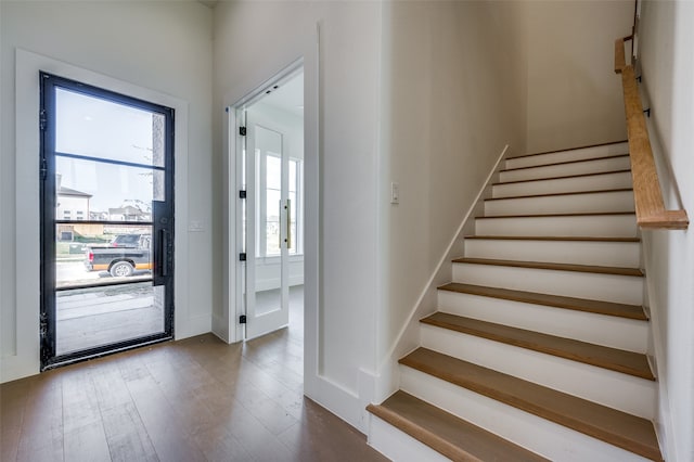 entryway featuring plenty of natural light and wood-type flooring