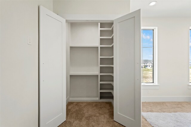 view of closet