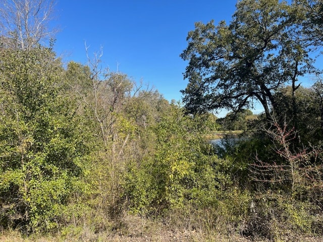 68 April Cv, Streetman TX, 75859 land for sale