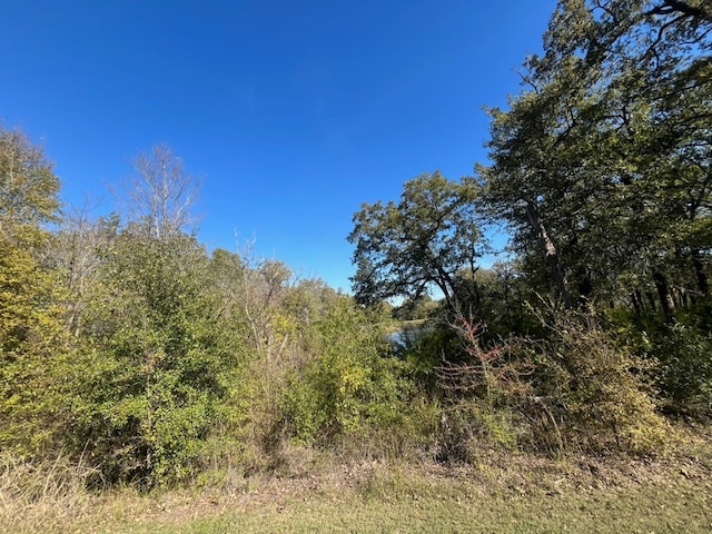 Listing photo 2 for 68 April Cv, Streetman TX 75859