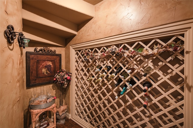 view of wine cellar