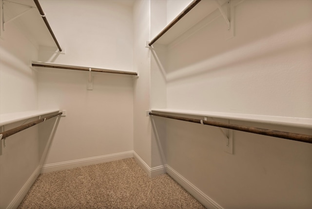 walk in closet featuring carpet