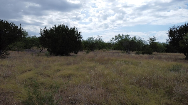 LOT1049 Frog Branch Ct, Possum Kingdom Lake TX, 76449 land for sale