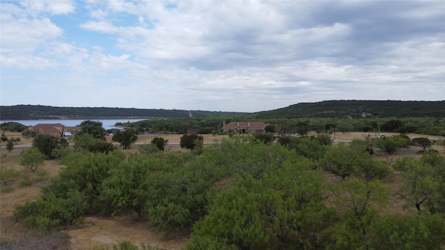 Listing photo 2 for LOT1049 Frog Branch Ct, Possum Kingdom Lake TX 76449