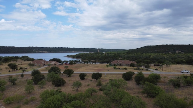 Listing photo 3 for LOT1049 Frog Branch Ct, Possum Kingdom Lake TX 76449