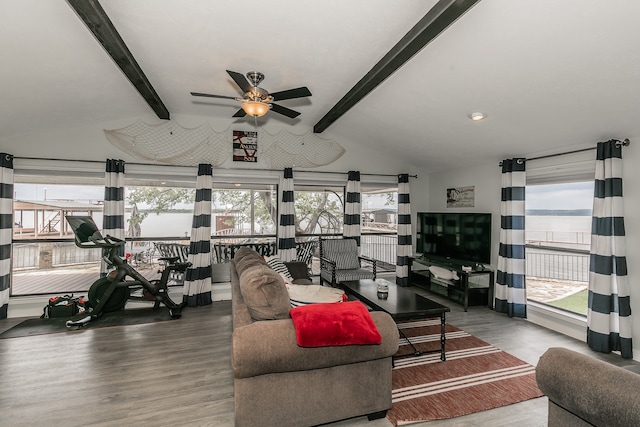 living room featuring lofted ceiling with beams, a wealth of natural light, hardwood / wood-style flooring, and ceiling fan