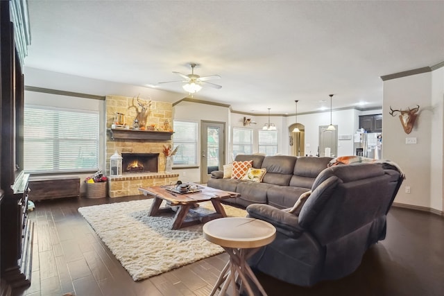 living room with ceiling fan with notable chandelier, dark hardwood / wood-style flooring, a fireplace, and crown molding