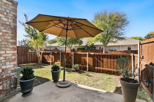 view of yard featuring a patio