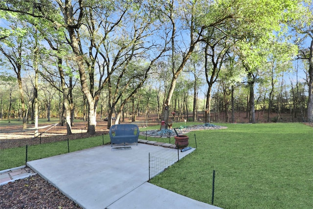 view of yard with a patio area