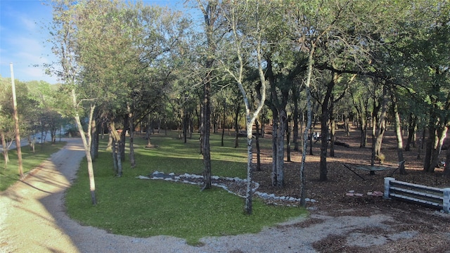 view of home's community featuring a yard