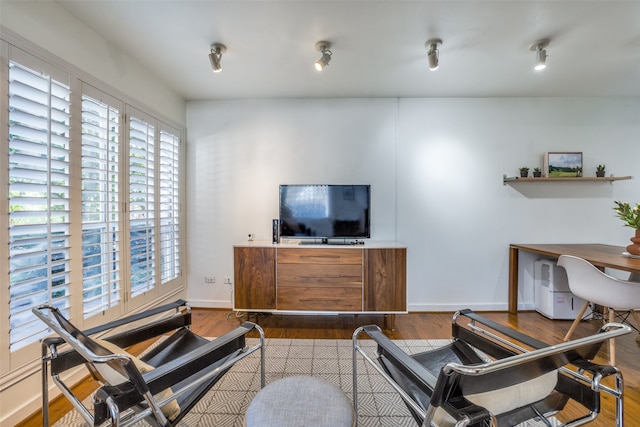 living room featuring hardwood / wood-style flooring