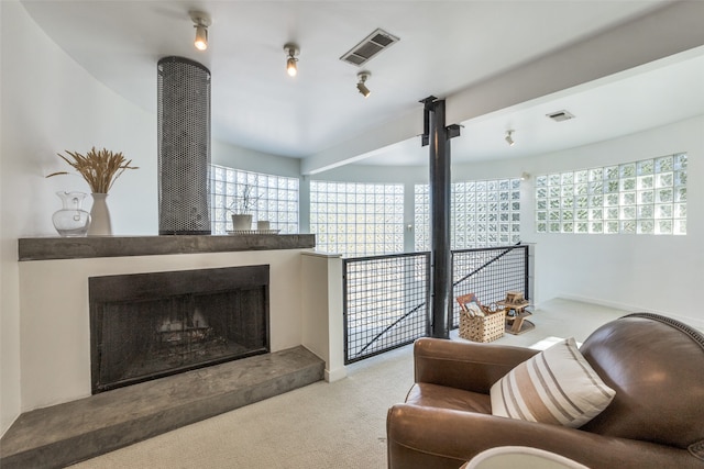 carpeted living room featuring a wealth of natural light