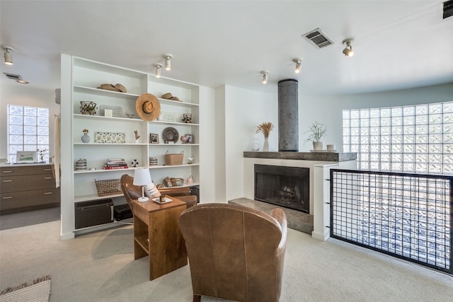 sitting room with a wood stove, light carpet, and plenty of natural light