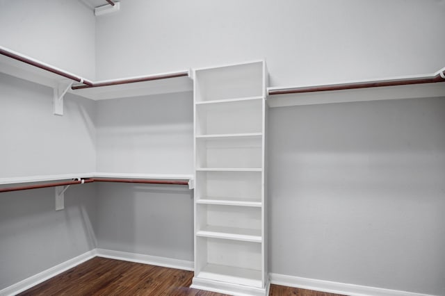 spacious closet with dark hardwood / wood-style flooring