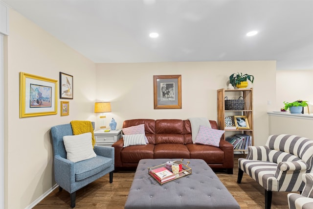 living room with wood-type flooring