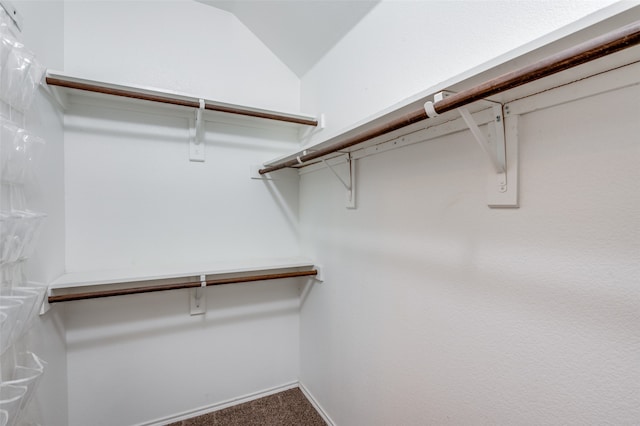 spacious closet with carpet floors and vaulted ceiling