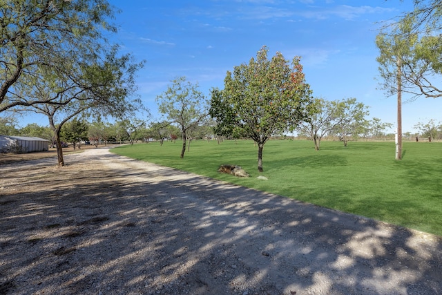 view of community with a yard