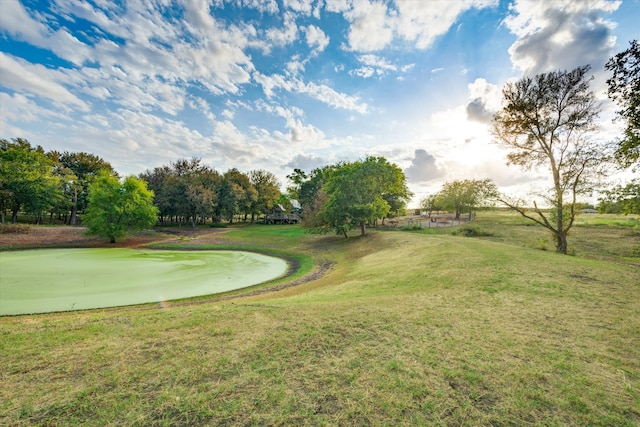 view of home's community featuring a lawn