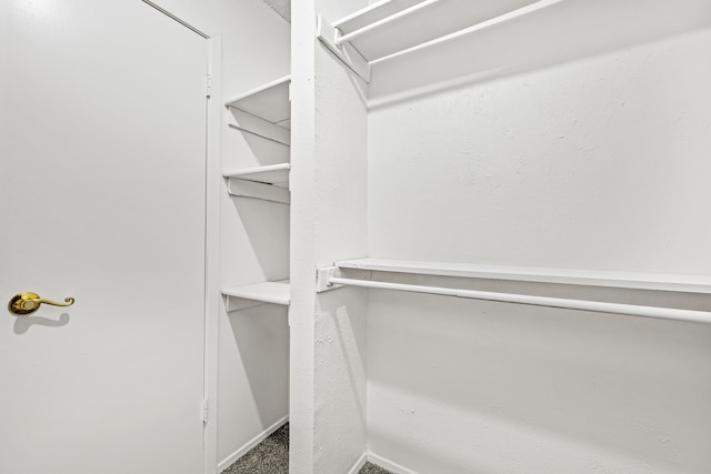 spacious closet with carpet flooring