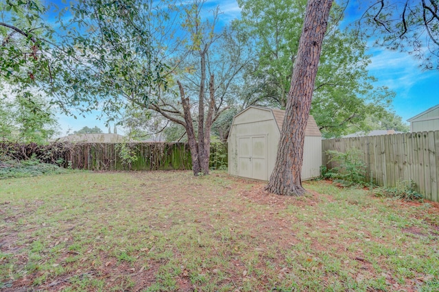 view of yard featuring a storage unit