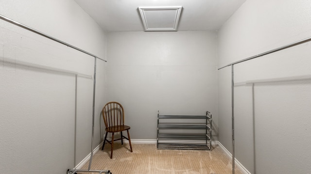 spacious closet with light carpet