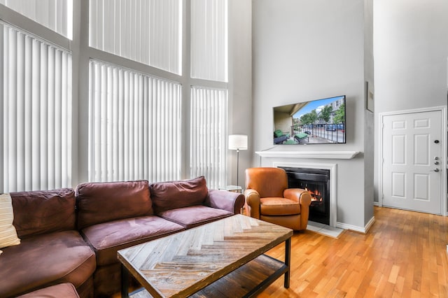 living room with a high ceiling and light hardwood / wood-style flooring