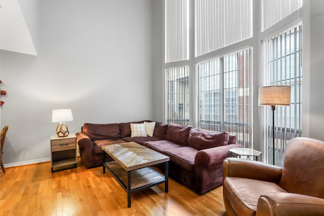 living room featuring light hardwood / wood-style floors and plenty of natural light