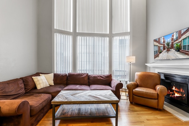 living room with light hardwood / wood-style flooring