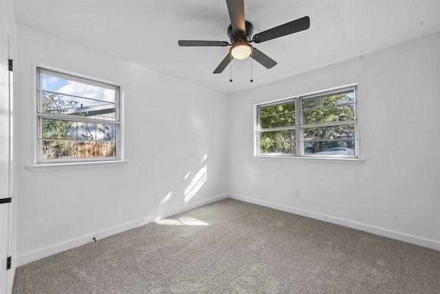 spare room featuring a wealth of natural light and carpet flooring