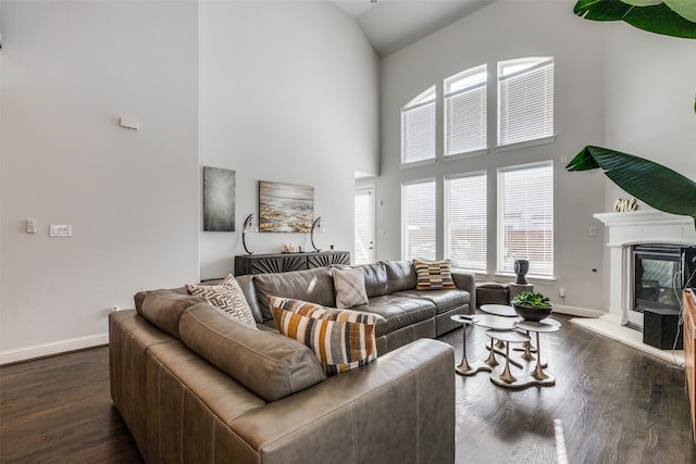 living room with high vaulted ceiling and dark hardwood / wood-style flooring