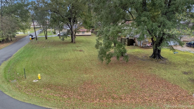 101 W Jefferson Ave, Haughton, LA 71037 - view of yard
