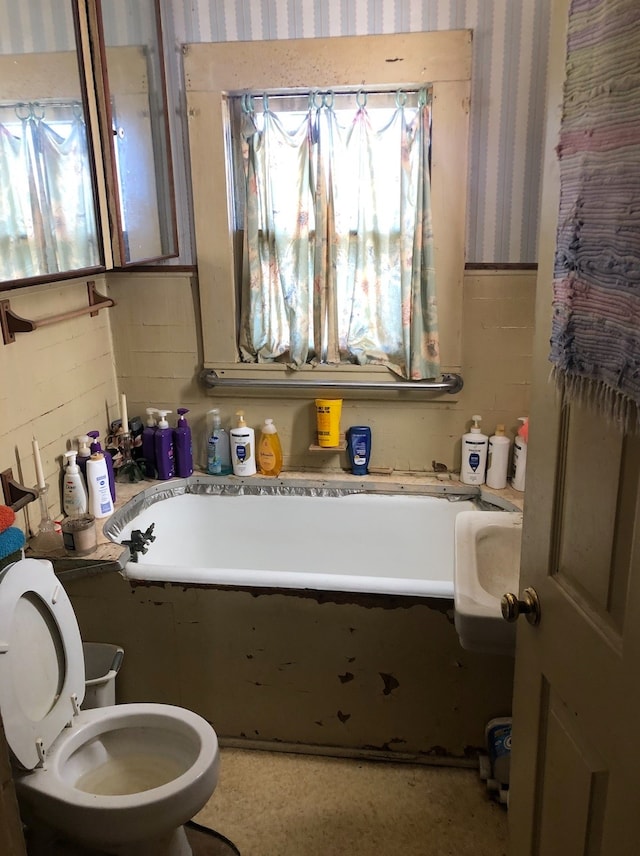 bathroom with toilet and a bathing tub